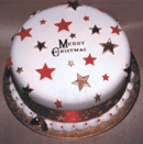 Xmas cake - WX9
